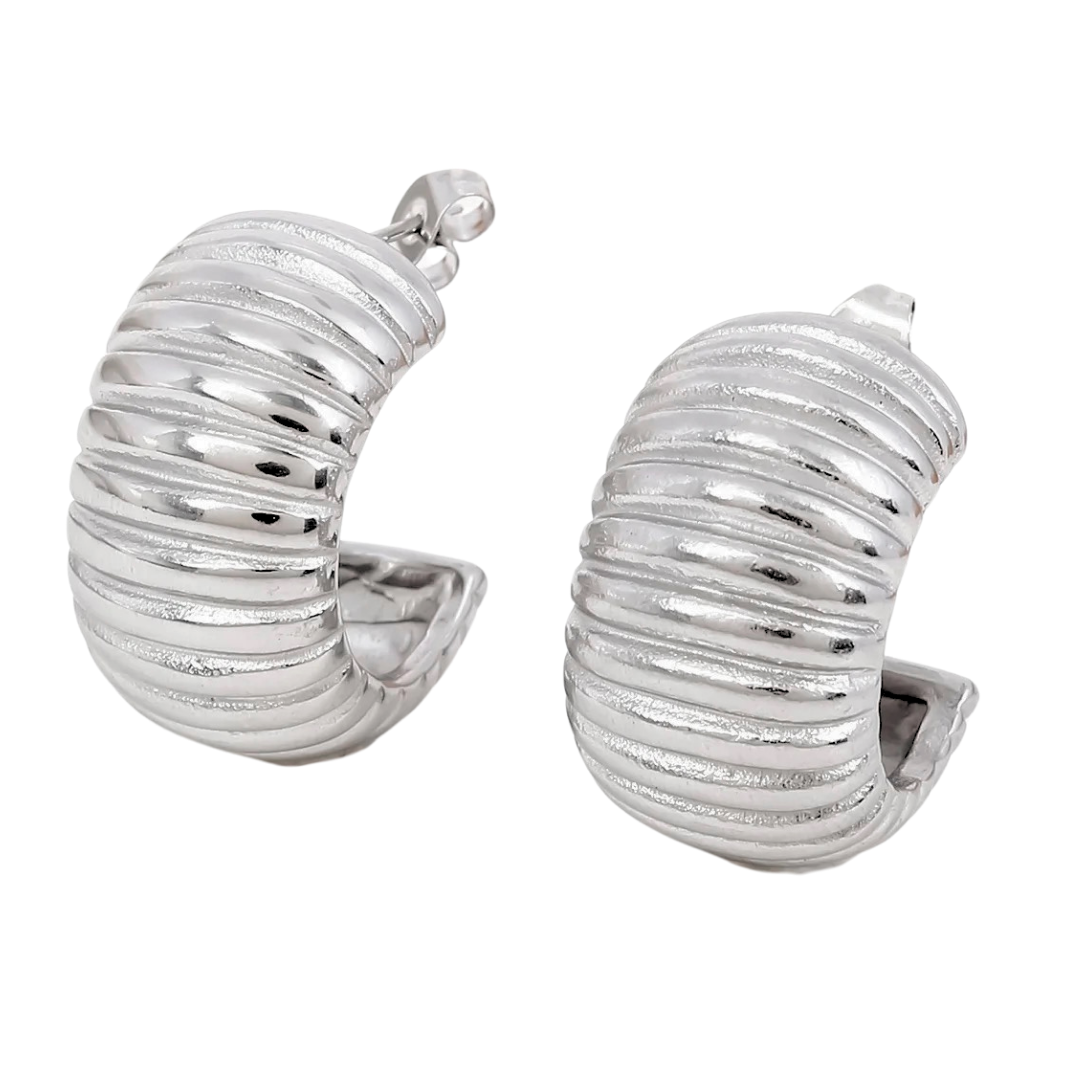 Aretes Coraza Plata