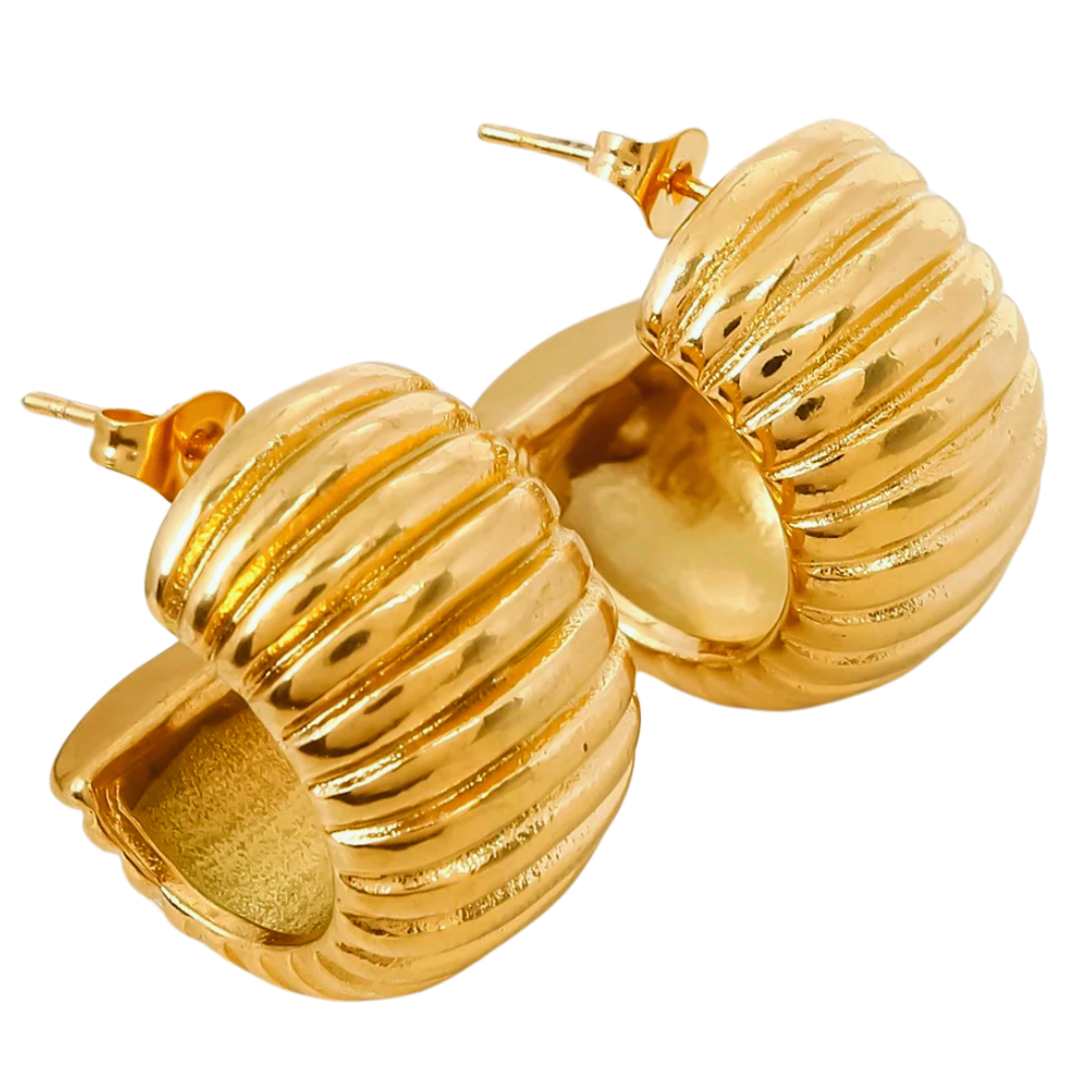 Aretes Coraza