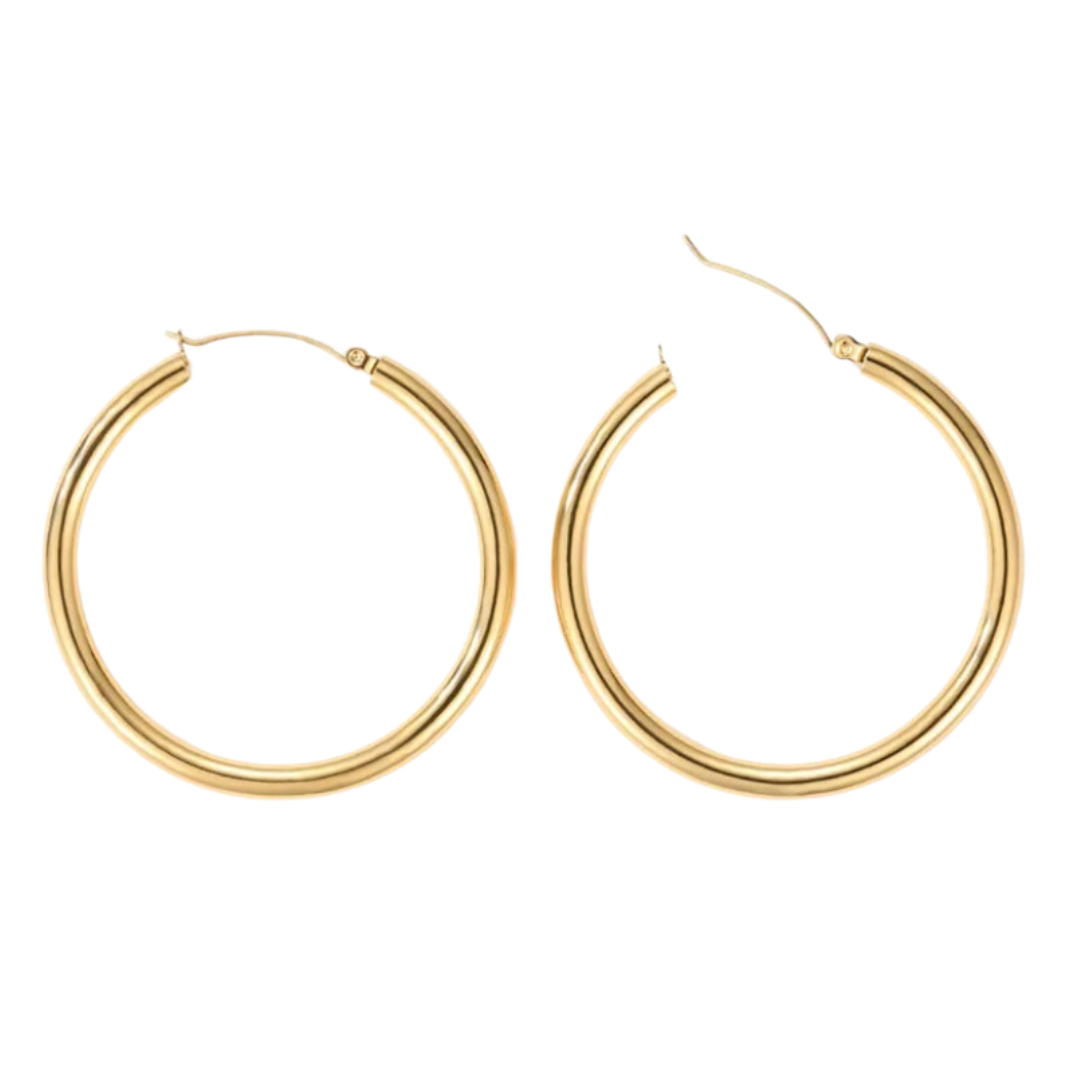 Aretes Richia