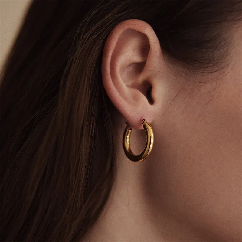Aretes Richi
